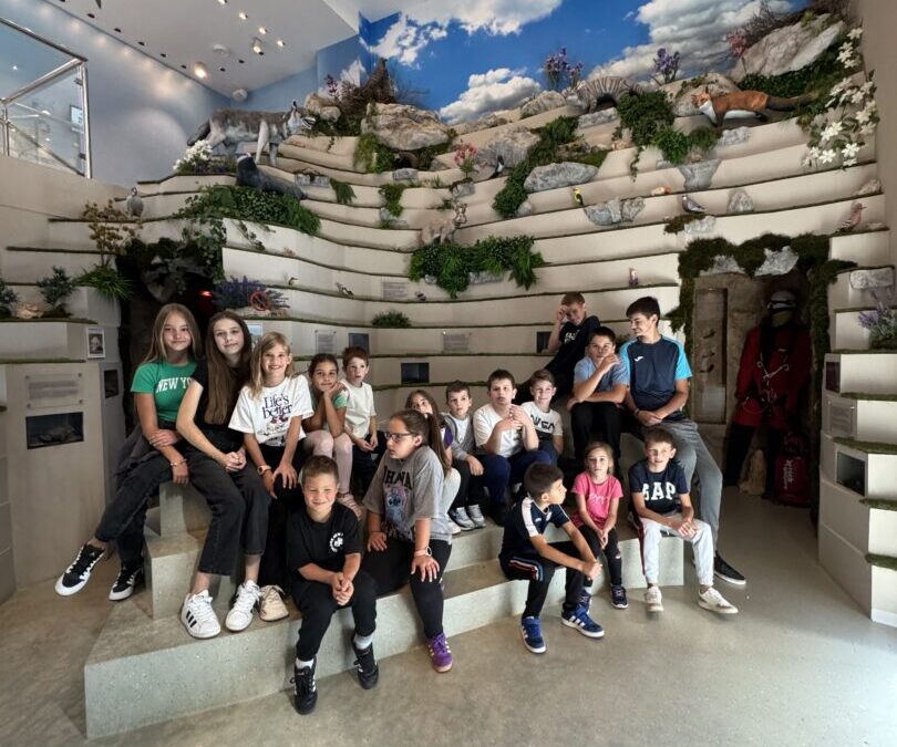 Terenska nastava Stella Croatica i Skrivena Dalmacija