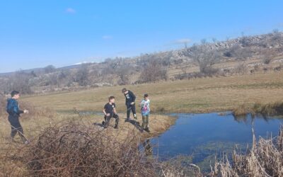 SVJETSKI DAN MOČVARA